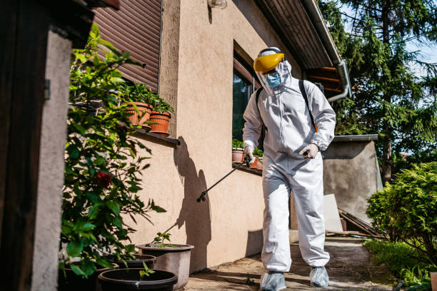 Best Affordable Pest Control Services  in Oliver, PA