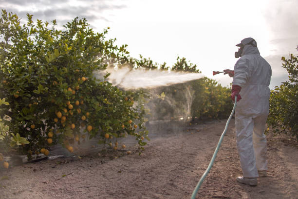 Pest Prevention Services in Oliver, PA