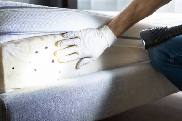 Best Best Pest Control Companies  in Oliver, PA