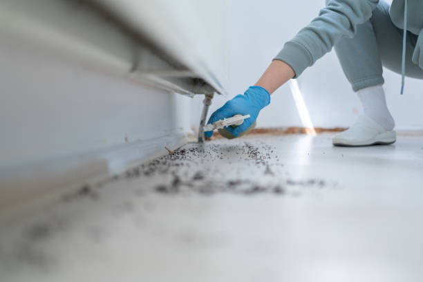 Best Termite Control Services  in Oliver, PA